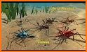 Life of Phrynus - Whip Spider related image