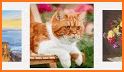 Oil Painting Color By Number related image