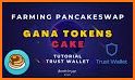 Pancakeswap Wallet related image