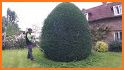 Landscaping - Trim the Bush! related image