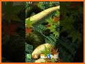 Snake Attack Live Wallpaper & Animated Keyboard related image