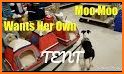 Moo Shopping related image