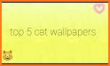 Kitten Wallpaper - Cute Cat Wallpapers related image