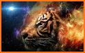 Tiger Wildlife Keyboard Background related image