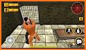 Grand Prison Jail Escape Games related image