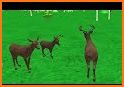Deer Funny Run Simulator Walkthrough related image