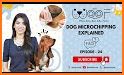 Woof – Pet Safety related image
