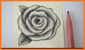 Sketch Red Rose Theme related image