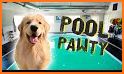 Pet Pool Ride - Animal Water Park Racing related image