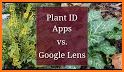 Plant AD -  Plant Identifier App related image