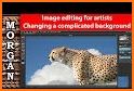 Wild Animal Photo Editor - Background Changer related image