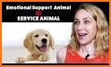 TheraPetic | Service Dog / ESA Support Animal related image