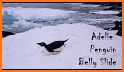 Penguin Slide Deluxe related image