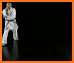 PocketPT - Shotokan Karate related image