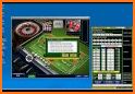 Roulette VIP Deluxe Bet Pro related image