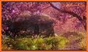 Sakura Flower Keyboard Background related image