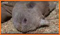 Rhino Liquidations related image