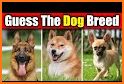 Quiz School | Dog breeds related image