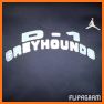 D-1 Greyhounds related image