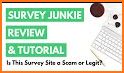 Survey Junkie related image