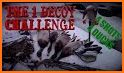 Duck Hunting Challenge related image