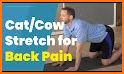 Cat Stretch related image