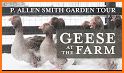 Crowd Farm Goose Download Now related image