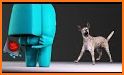Crazy Dog 3D related image