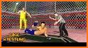 Real Robot Steel Cage Wrestling related image