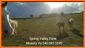 Spring Valley: Farm Adventures related image