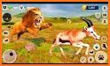 Lion Games 3D: Jungle King Sim related image