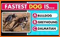 Quiz School | Dog breeds related image