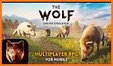 Online Wolf Games For Free related image
