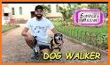 DogHero - Dog Sitters & Walkers related image