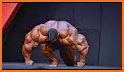 Bodybuilding Master related image