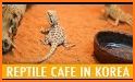 Kpop Coffee VS Snake related image