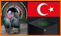 Turkey VPN - VPN Turkey related image