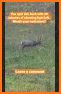 Wild Deer Shooting Animal Hunting Adventure 2020 related image