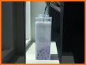 iDrink Boba: DIY Milk Tea related image