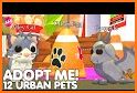 Hints Of Adopt Me Pets : Game related image