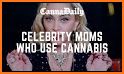 Canna Mom Society related image