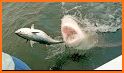 Sea Sharker: Fish Hunter related image