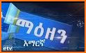 Ethiopian Live TV related image