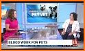 Vet Blood Tests Guide related image