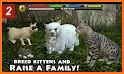 My Virtual Pet Games: Animal Escape Cat Simulator related image