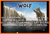 Wolf TIPS - BETTING TIPS related image