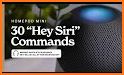 List Voice Commands To Ask SIRI related image