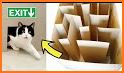 Epic Animal - Move to Box Puzzle related image