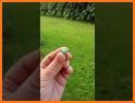Earth Craft - New Mini Crafting 2021 related image