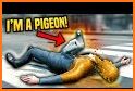 Thug Life Pigeon Simulator 2021 - Birds Simulator related image